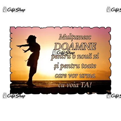 Mgs044-magnet frigider-multumesc doamne